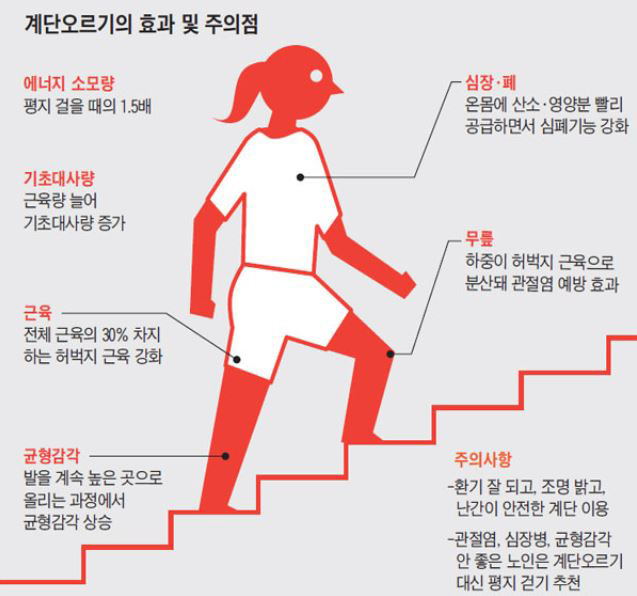 계단오르기의 효과 및 주의점 내용이 담긴 그래픽이다