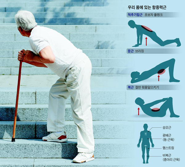우리 몸에 있는 항중력근