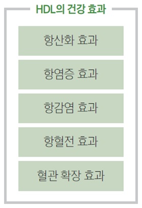 HDL의 건강 효과