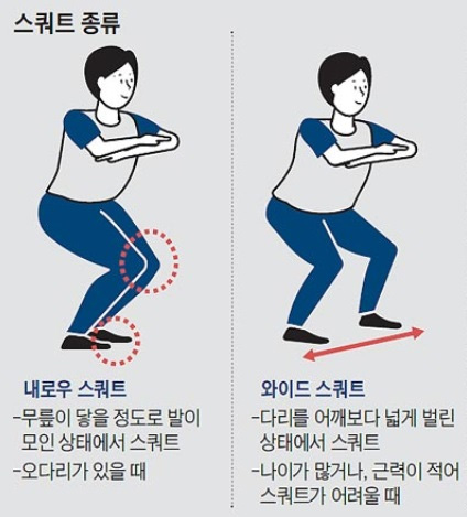스쿼트 동작 2개 그림