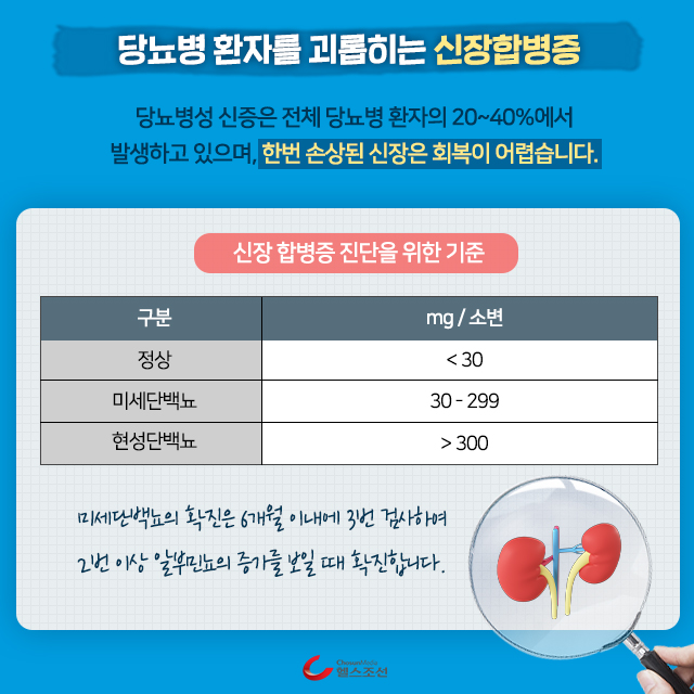 사진06 신장 일러스트 이미지