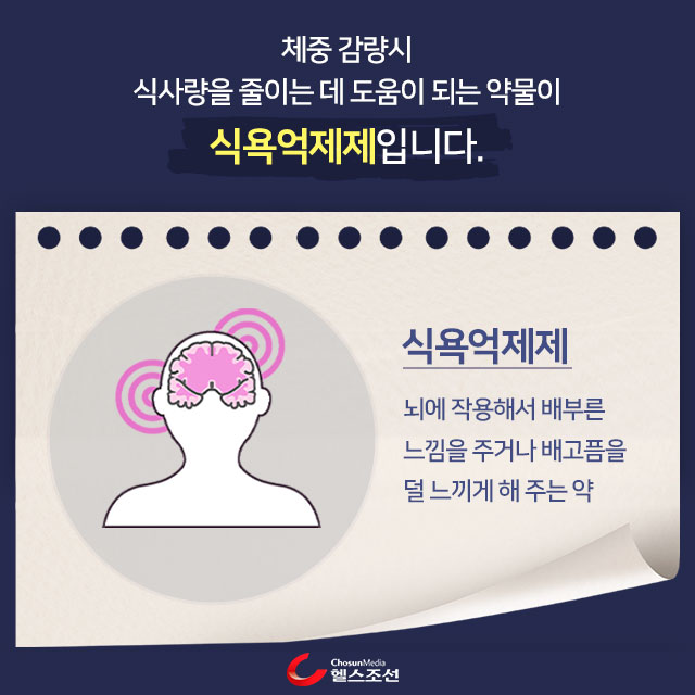 사진05 뇌 인포그래픽 이미지