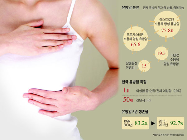 유방암 분류 외