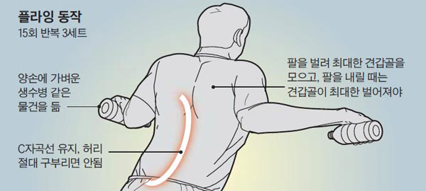 플라잉 동작 그림