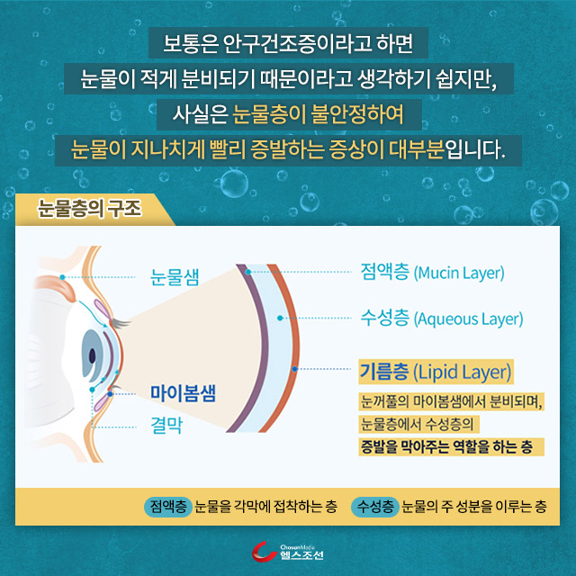 사진04 눈물층 구조도 이미지