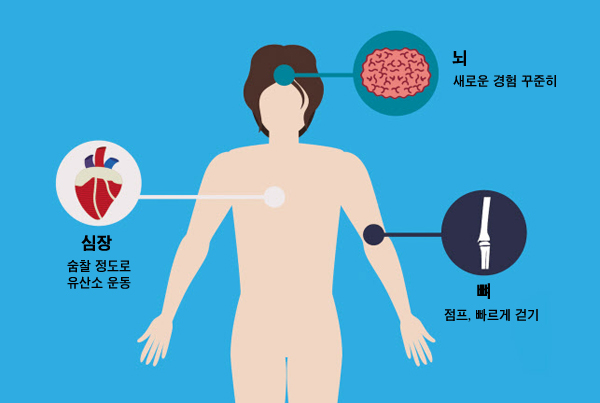 기사 관련 이미지