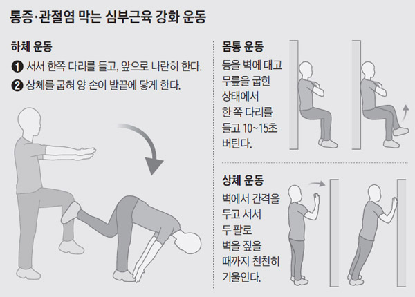 심부근육 강화 운동 사진