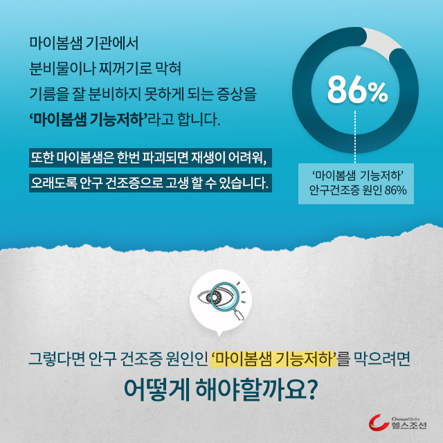 원형 그래프 이미지