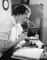 레이첼 카슨, ‘침묵의 봄’ 출간