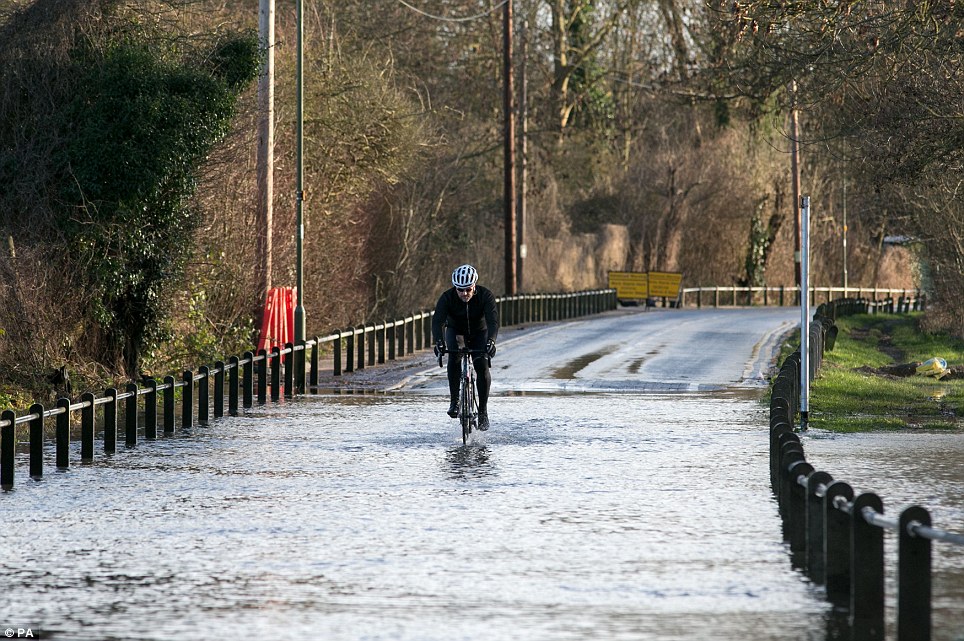 Tricky conditions: A cyclist rides drives through a flooded road next to the River Thames in Chertsey, Surrey