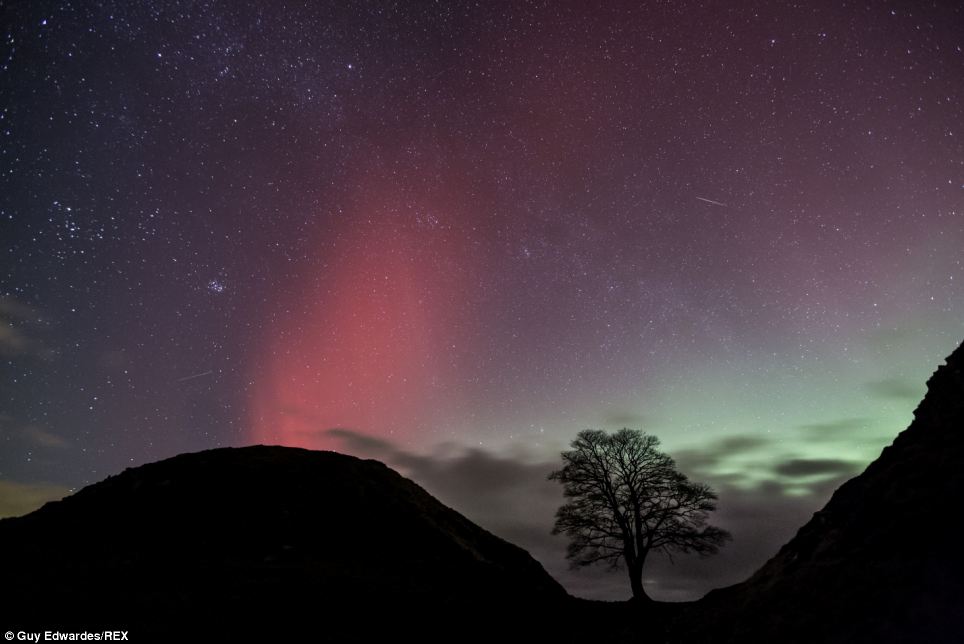 Mark Thompson told the BBC: 'The electronically charged particles take two or three days to get here' Above, the Northern Lights at Sycamore Gap, Hadrian's Wall