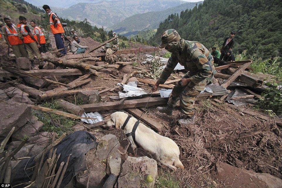 Sombre: A soldier uses a sniffer dog to search for survivors in the mud and debris of a house which was buried by a landslide in Panchari village, Indian Kashmir