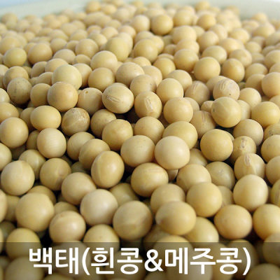 백태(메주콩) 9kg / 14kg / 흰콩 / 노란콩 / 청국장콩