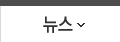 뉴스 뉴스