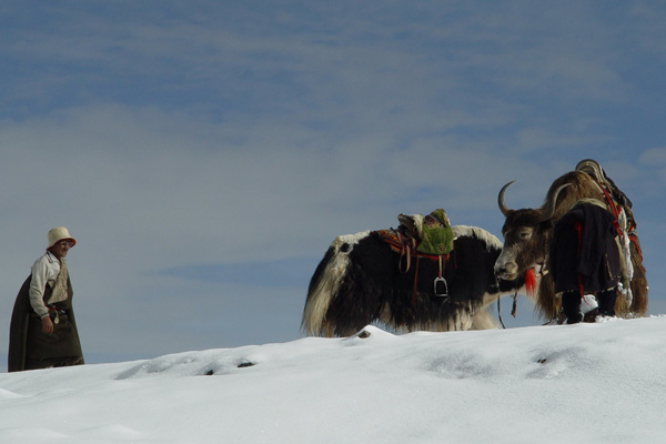 죽기 전 꼭 가봐야 할 중국 명소 1위, '다오청야딩'