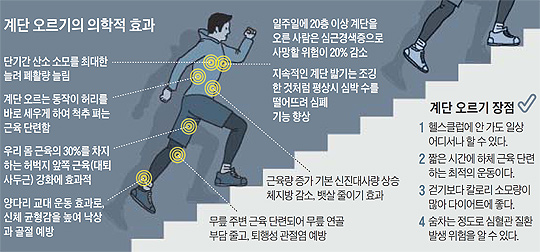 계단 오르기의 의학적 효과 설명 그래픽
