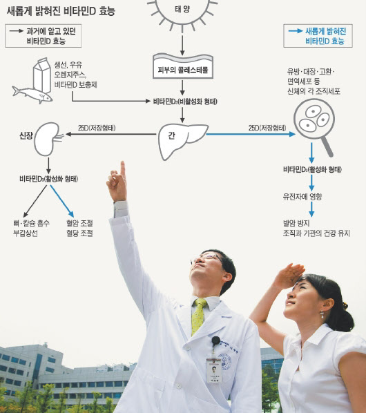 미국 내과 의사들이 가장 많이 챙겨 먹는 건강보조식품은?