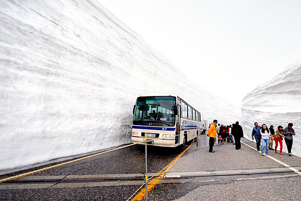 다테야마 알펜루트 구간 중 빙벽이 형성된 '눈의 대계곡', 15~20m의 높이까지 눈이 쌓인다.