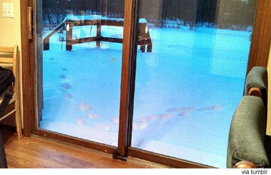 가장 무서운 눈밭 발자국