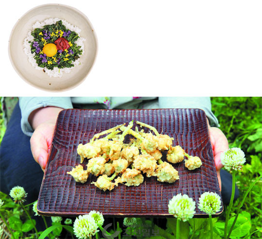 권포근씨가 만든‘토끼풀꽃 튀김’. 겉은 바삭하고 속은 폭신한 맛이 일품이다. 위 작은 사진은 잡초 비빔밥.