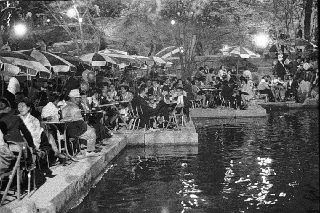 '벚꽃하면 창경원'이던 시절