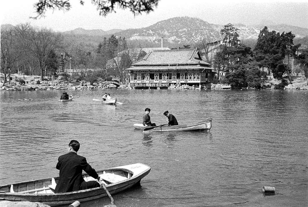 '벚꽃하면 창경원'이던 시절