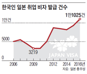 한국인 일본 취업 비자 발급 건수 그래프