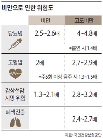 비만으로 인한 위험도