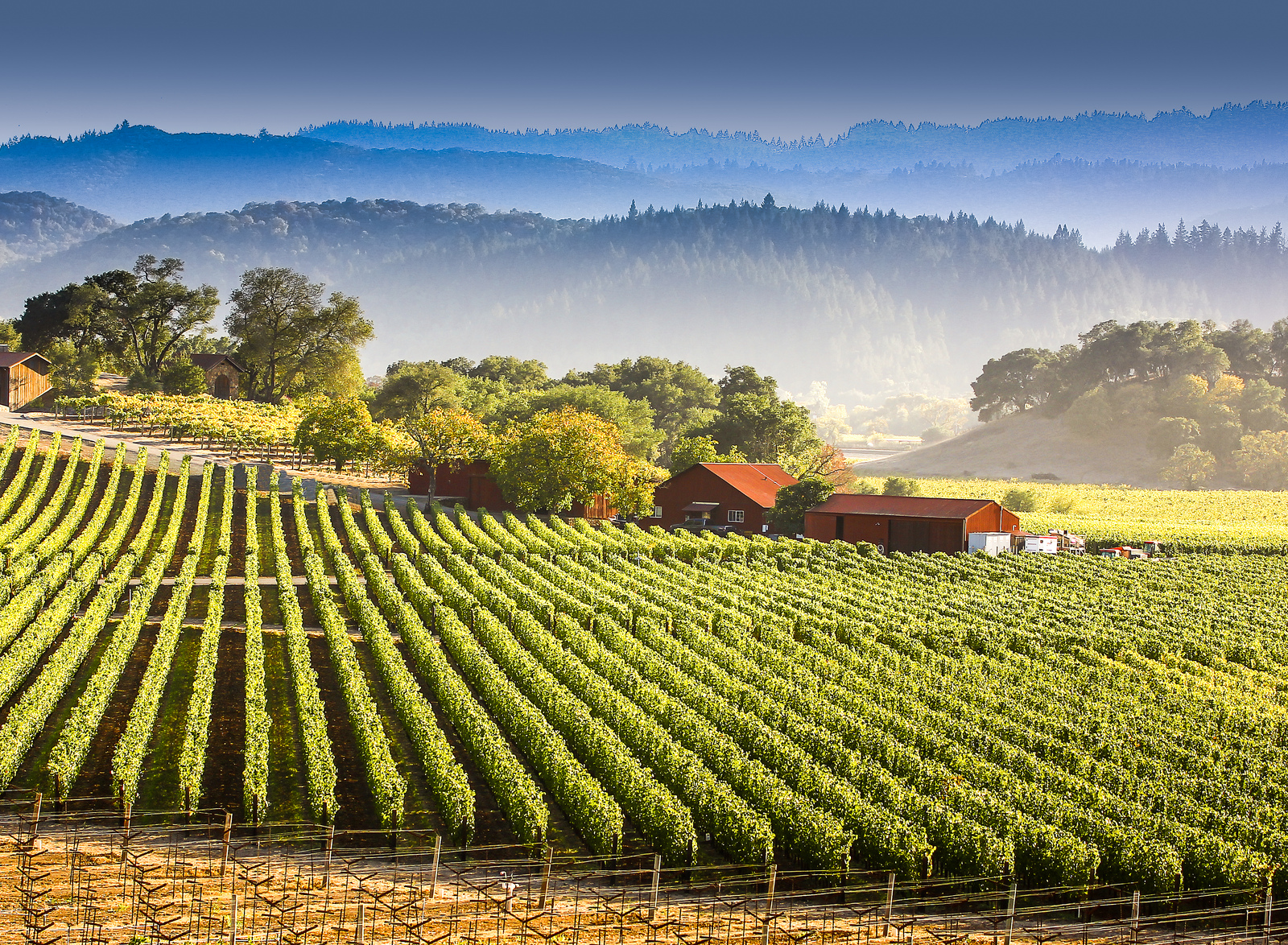 「NAPA VALLEY」の画像検索結果