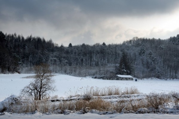 ▲현장의 전문가들이 입을 모아 이야기한다. 귀산촌은 냉정한 현실이라고. 영화 같은 낭만과는 거리가 있다는 말이다. 하지만 귀산촌이 갖는 매력은 분명히 있다. 제대로 알고 도전한다면 귀농보다 더 다양한 재미를 느끼며 살 수 있다.