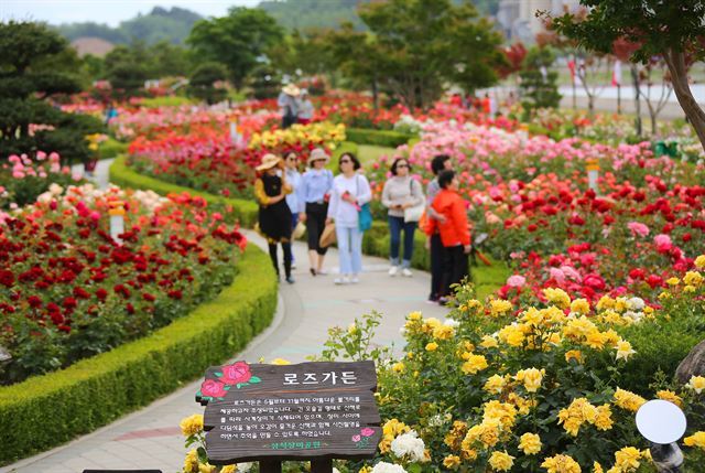 주 세계장어 이미지