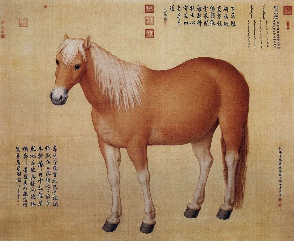 진면목 이미지