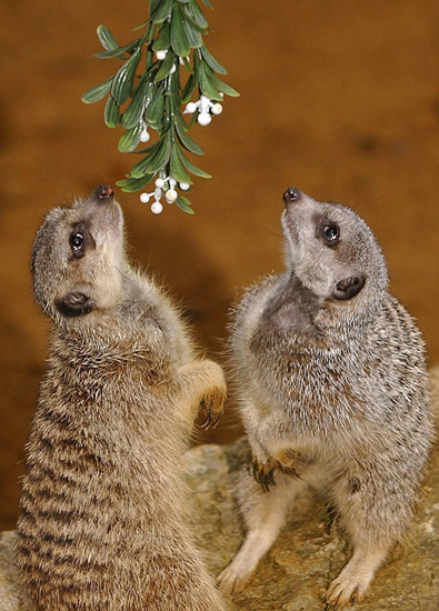 ☞작성: Daum카페: 한국 네티즌본부