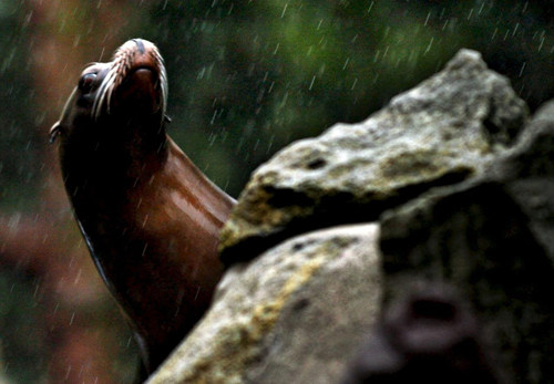 ☞작성: Daum카페: 한국 네티즌본부