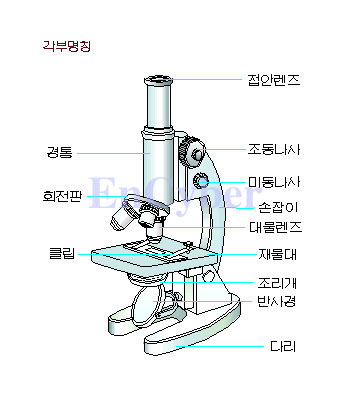 함께하는 과학까페 | 현미경의구조 - Daum 카페