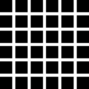 232Px-Hermann Grid Illusion.Svg