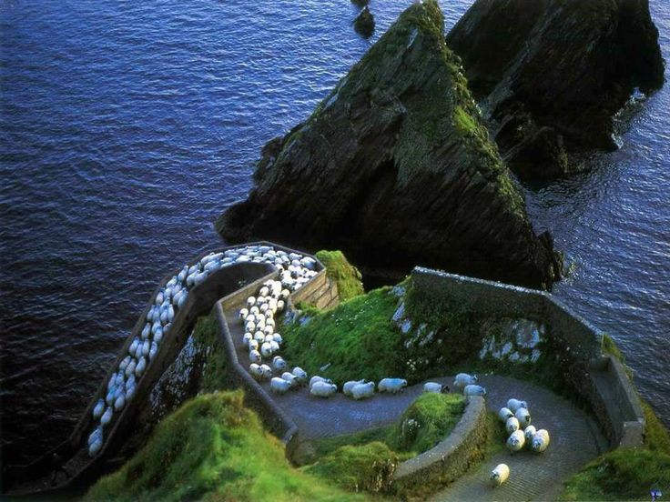 Sheep Highway, Ireland  | Most Beautiful Pages