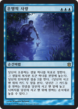 운명적 사랑 운명적 사랑