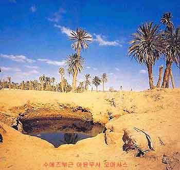 사막의 오아시스. 湧水泉