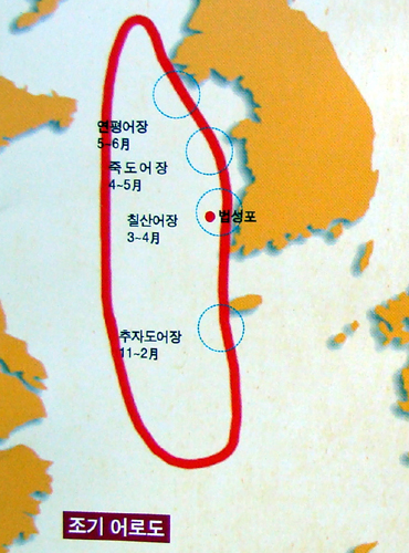 법성포 영광굴비 맛의 비결은... 바로 이것