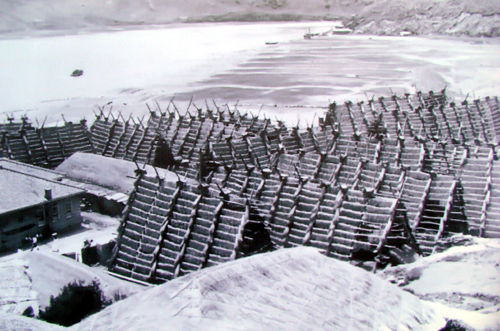 법성포 영광굴비 맛의 비결은... 바로 이것