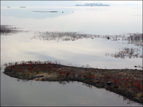 곰소만 젓갈, 제각기 다른 맛에 취하다