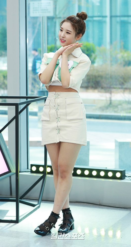샤샤 이미지