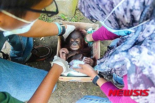 작성: 한국 네티즌본부