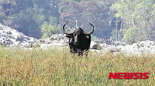 작성: 한국 네티즌본부