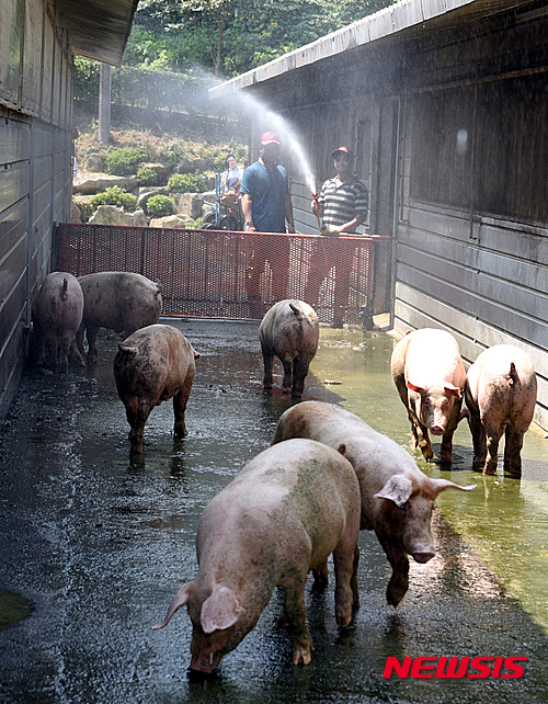 작성: 한국 네티즌본부