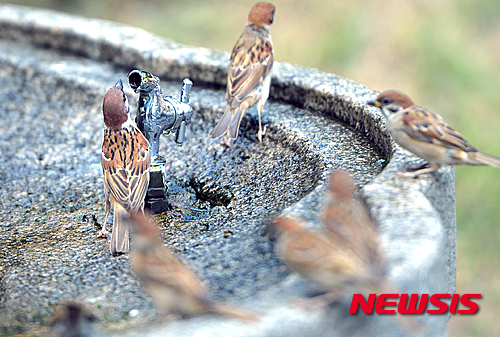 작성: 한국 네티즌본부