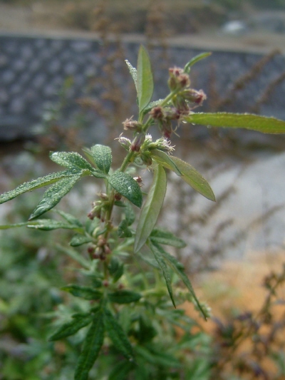 이미지를 클릭하면 원본을 보실 수 있습니다