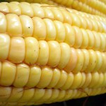 corn