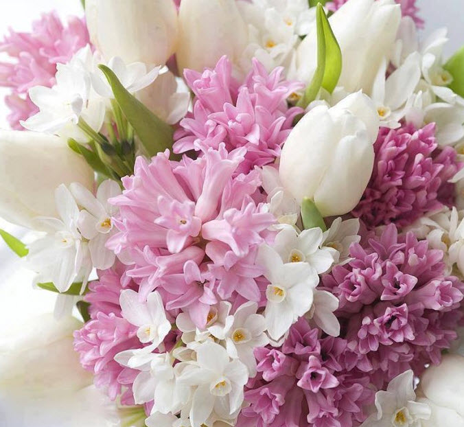 Pink hyacinths, white tulips, white narcissus.